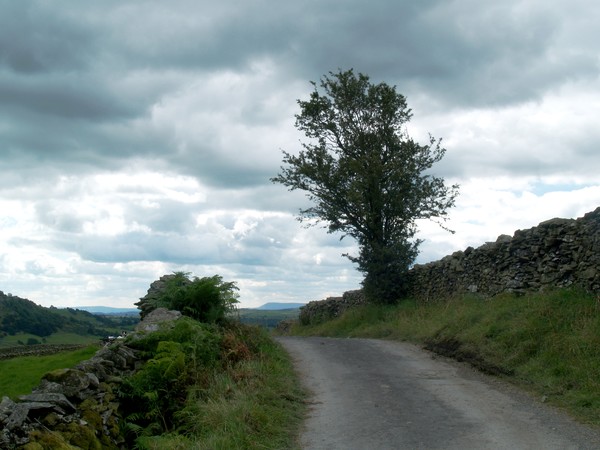 Austwick Road