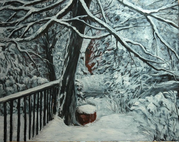 Snow Cover