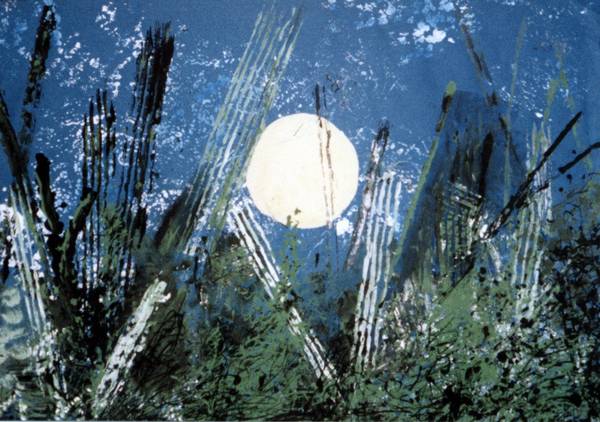 Imbalanced Nature