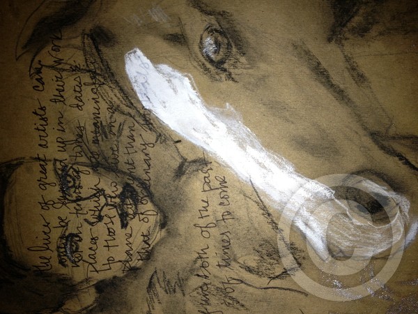 Charcoal and gouache drawing