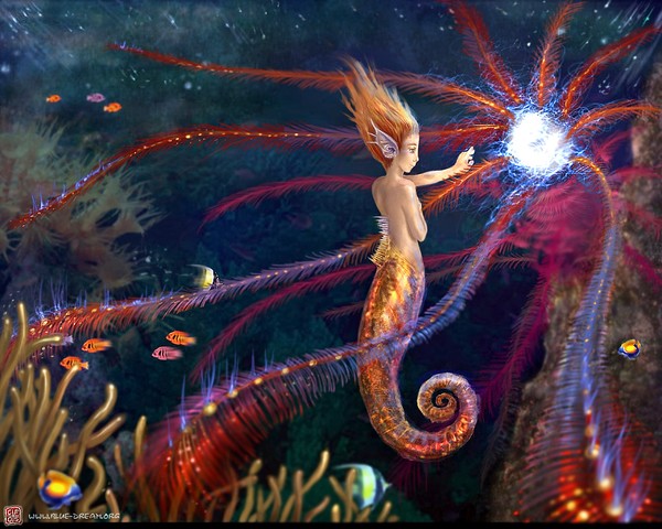 Secret of the Ocean