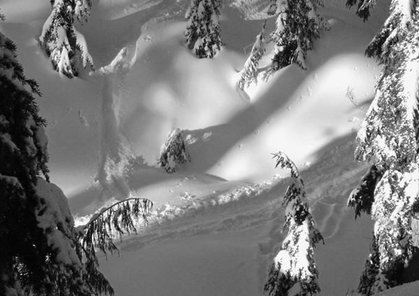 Mount Seymour Snow Scene 13