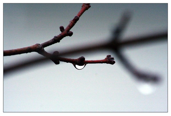 One little drop...