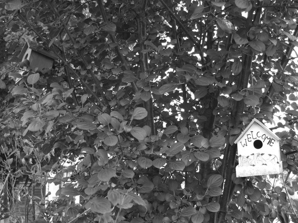 A home is a home