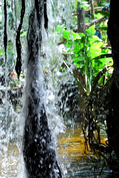 Under the falls