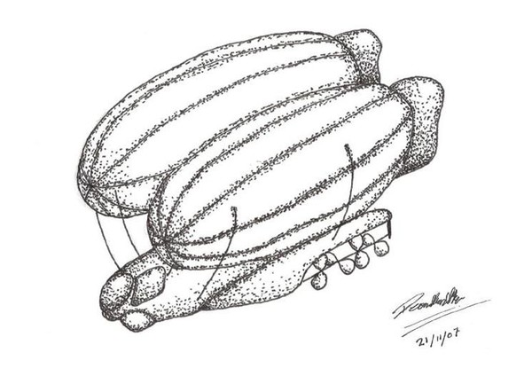 Blimp