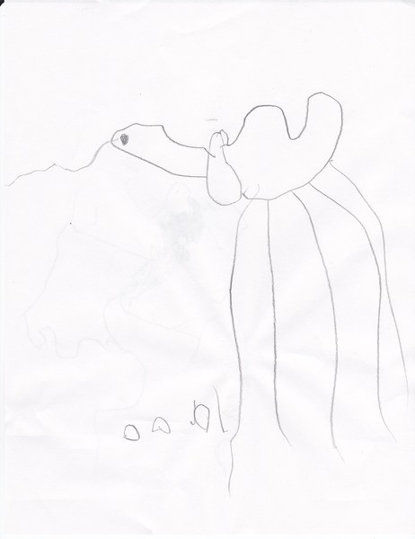 Camel
