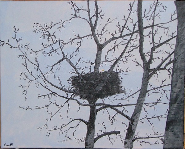 Nesting Eagle