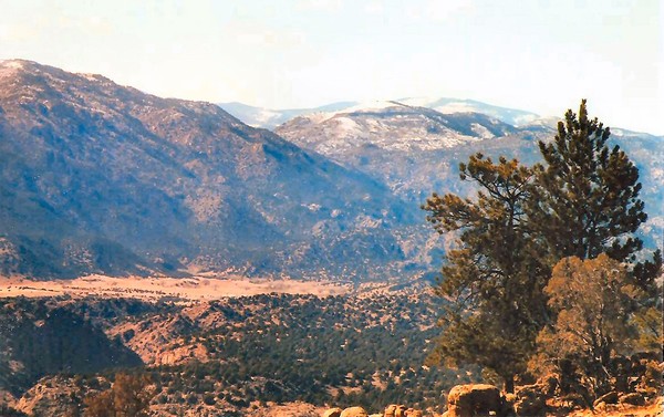 Colorado Rockies 