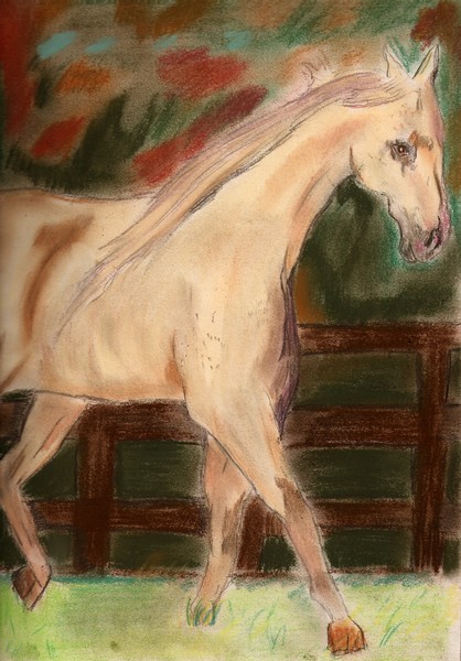 animhorse2
