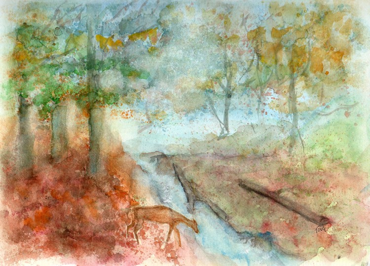 Blue Ridge Mountains memories