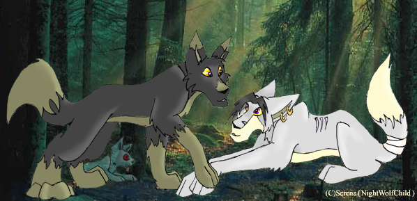 Merlin/Zipplyn