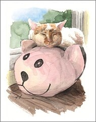 wc-thmb sleeping cat