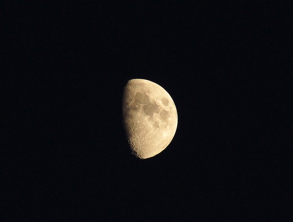 Twilight Moon