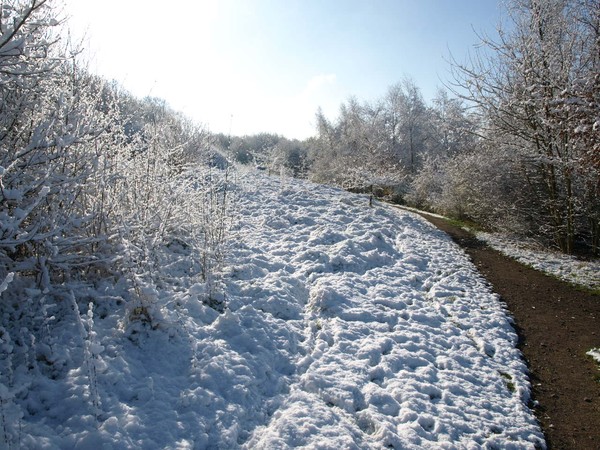 A walk in the snow.
