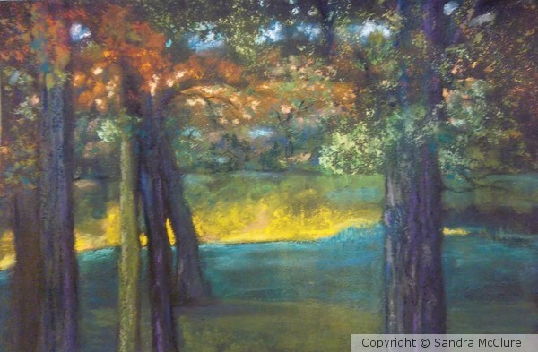 Blazing Autumn Light