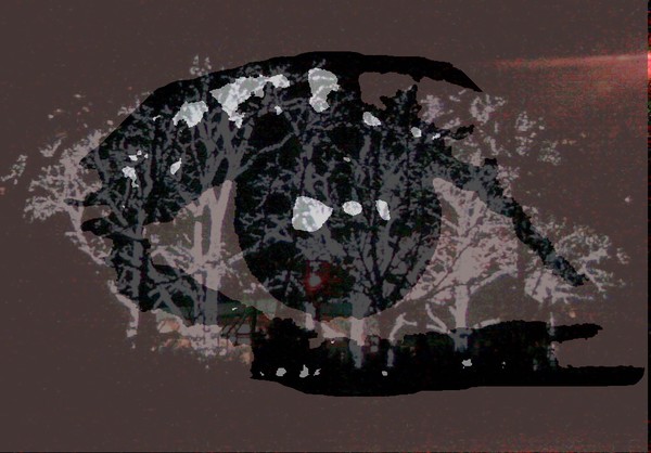 'Eye on the Green'