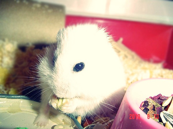 Mr.Chrupek :)