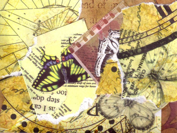 On Butterflly's Wings