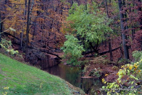 Fall Colors 6