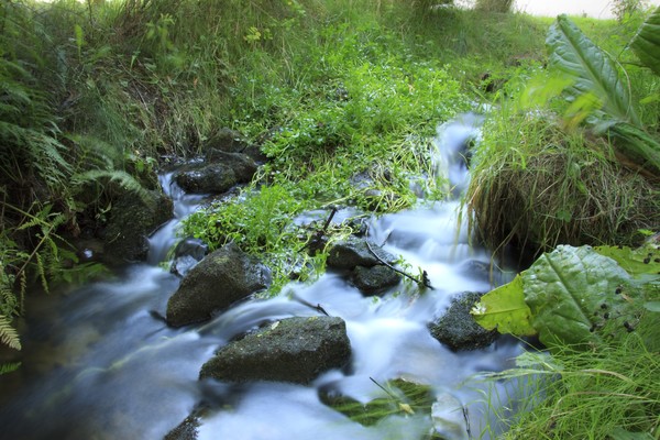 silky stream