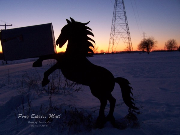 Yard Art by Jim Jackson