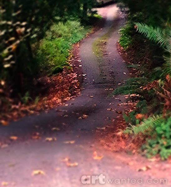 Fall 