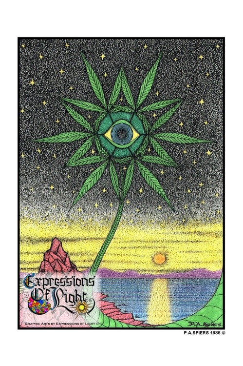 ExpoLight-Graphic-Arts-Cannabis-Eye-Sunset-1986-0001 (Pen-&-Ink-Coloured-SP)