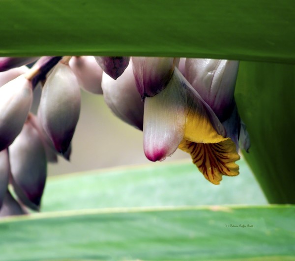 Hiding