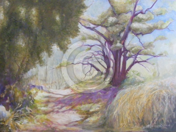 Inland Trail