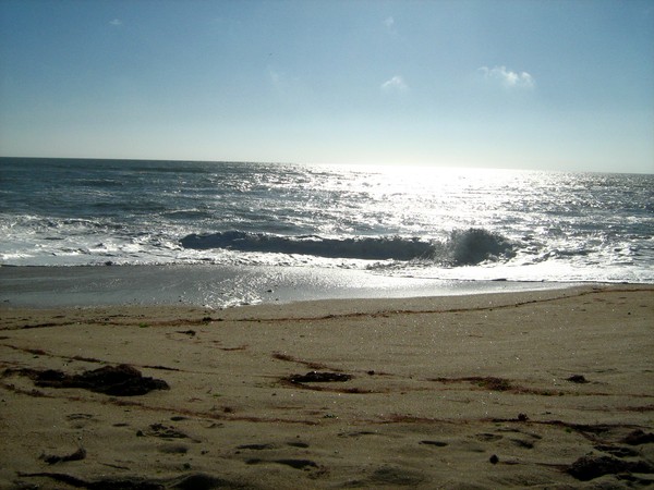 the waves of life