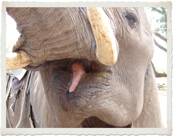 Up close and personal.