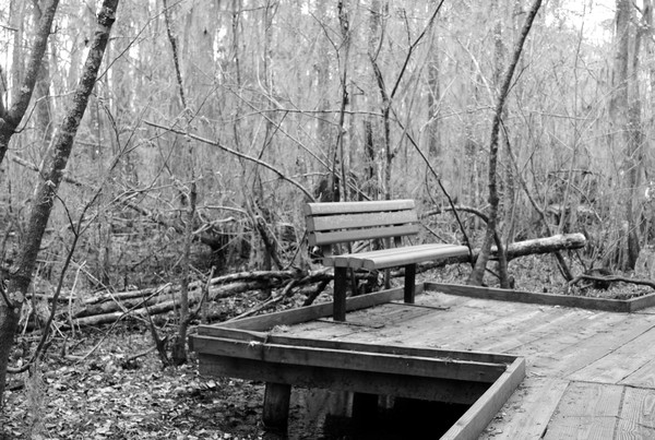 Bench