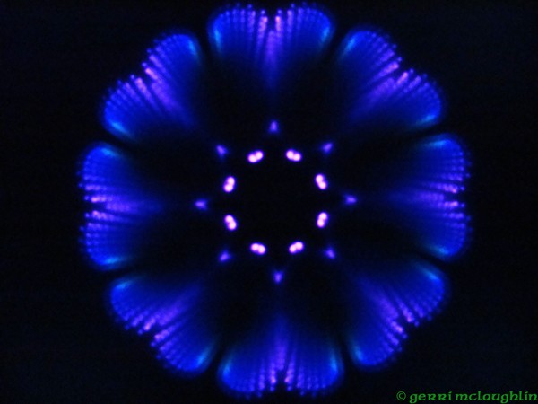 bluestar