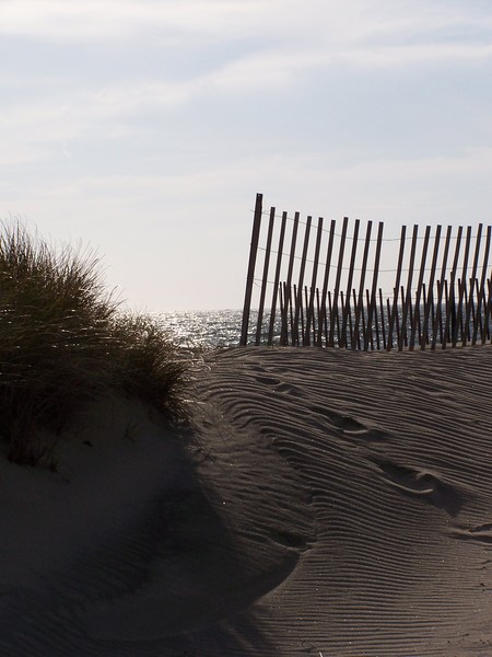 Watch Hill Dune in Vertical Orientation