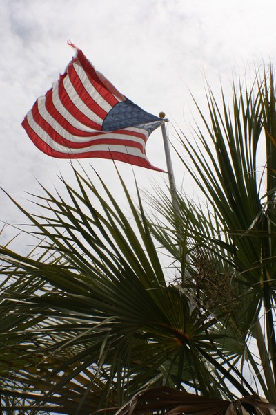 USA FL