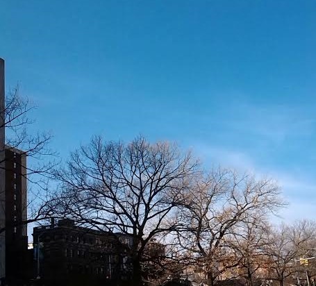 A Clear Day