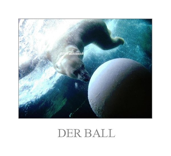 Der Ball