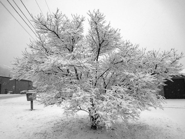 DSC00334