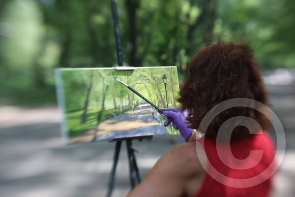 Picture-in-Picture