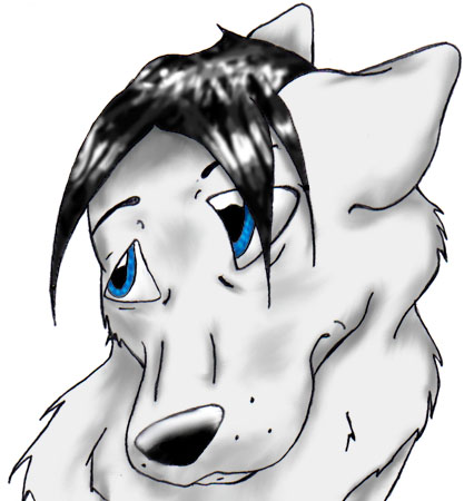 Tsuki-Head Shot