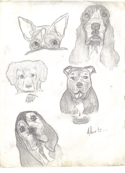 The Dog Pound