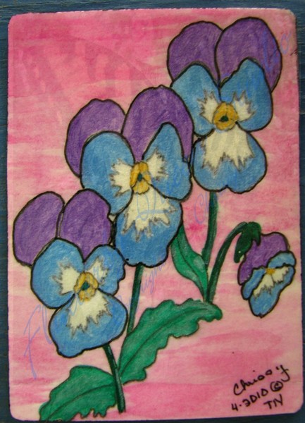 Pansies ACEO