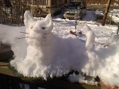 Ice Kitty