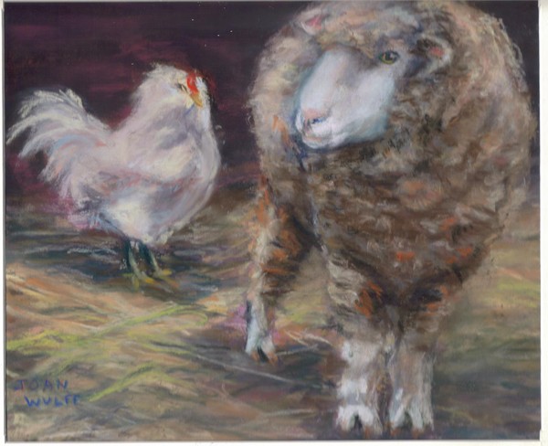 Rooster loves Sheep