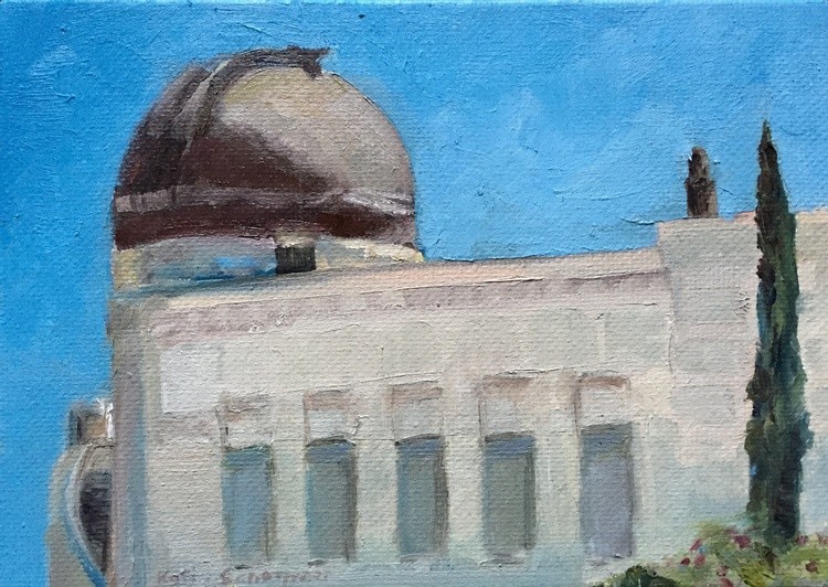 Partial Observatory