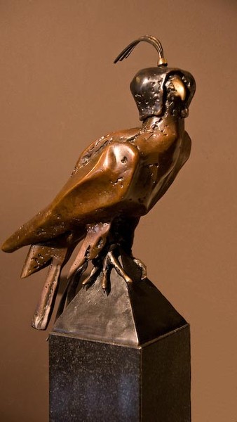 Peregrine falcon