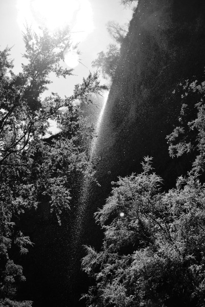 Paradise Falls in B&W