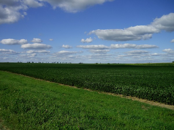 Green Acres Is The Place To Be