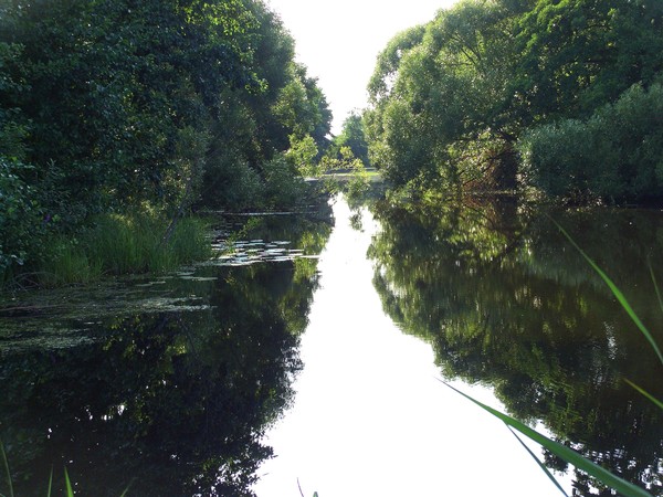 Wad river. Mordovia.